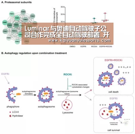 Luminar与奥迪自动驾驶子公司合作完成全自动驾驶部署_开元旗牌官网(图2) 开元旗牌官网app