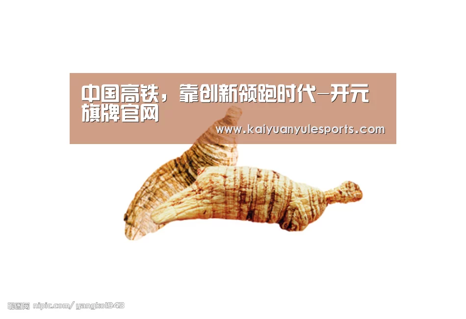 开元旗牌官网app