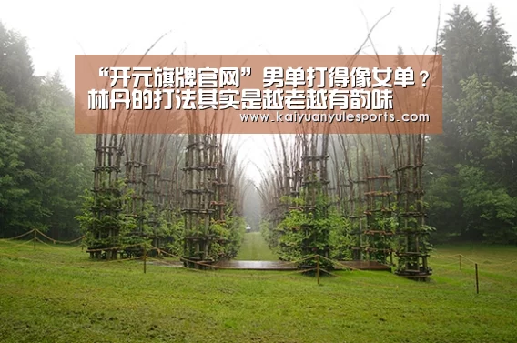 “开元旗牌官网”男单打得像女单?林丹的打法其实是越老越有韵味(图2) 开元旗牌官网app