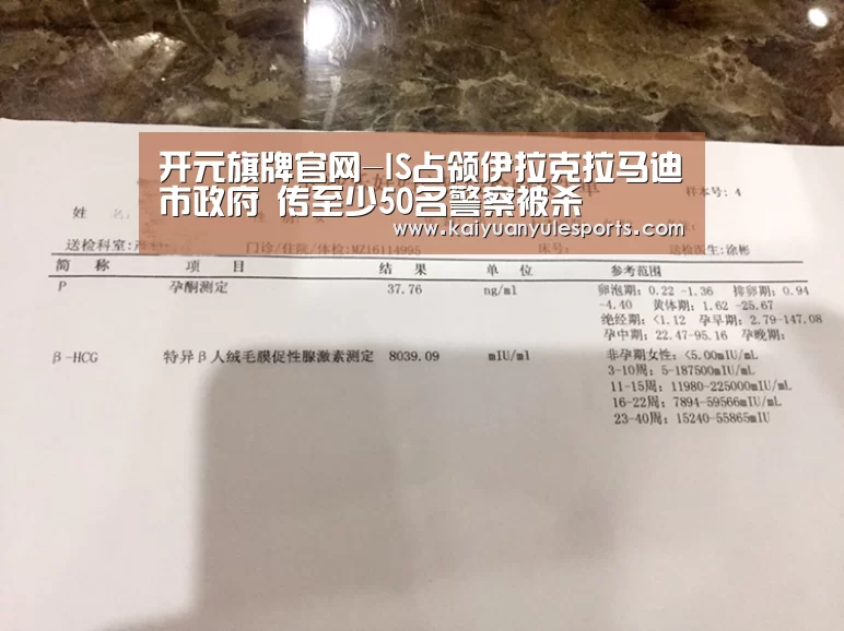 开元旗牌官网-IS占领伊拉克拉马迪市政府 传至少50名警察被杀(图2) 开元旗牌官网app