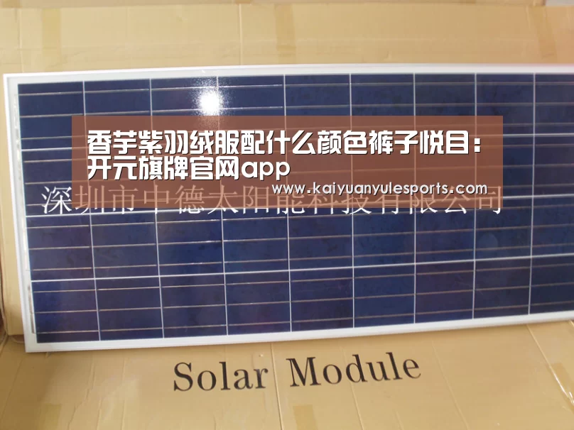 开元旗牌下载