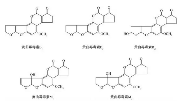 辽宁战新疆,谁能笑到最后?篮球场专用灯需遵循哪些指标?‘开元旗牌官网’(图4) 开元旗牌官网app